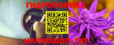 apvp Краснодар