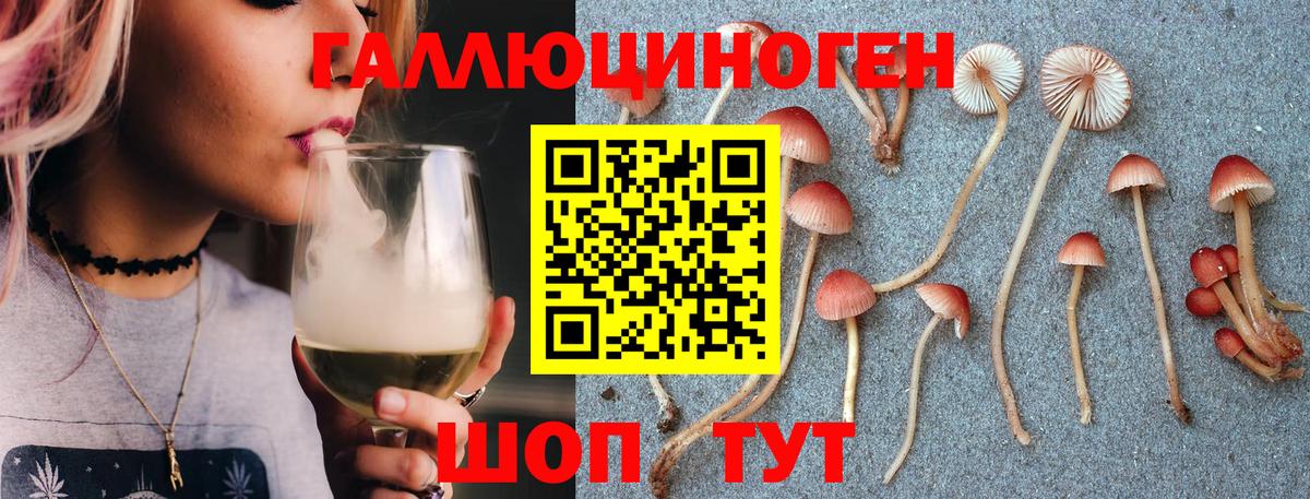 Галлюциногенные грибы Cubensis Вязьма