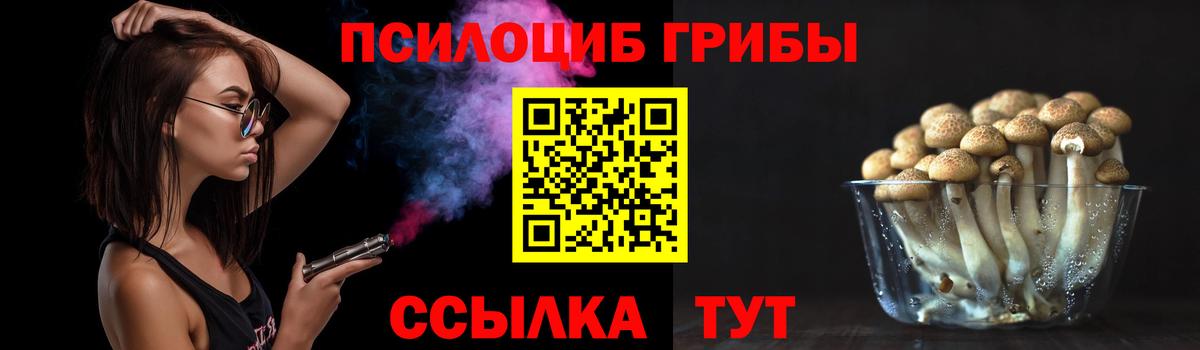 Вязьма  Галлюциногенные грибы мицелий  Вход с VPN 